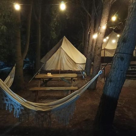 Bungalows Y Glamping Medina Sidonia Dış mekan fotoğraf