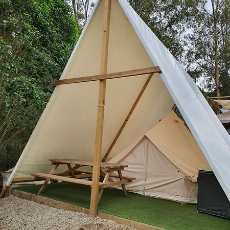 Bungalows Y Glamping Medina Sidonia Dış mekan fotoğraf