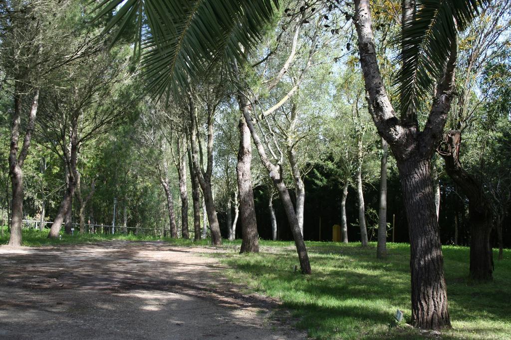 Bungalows Y Glamping Medina Sidonia Dış mekan fotoğraf